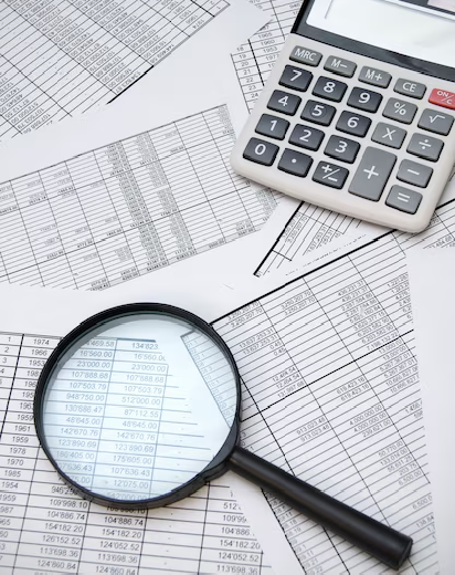 Financial Statement Audit Services in Switzerland