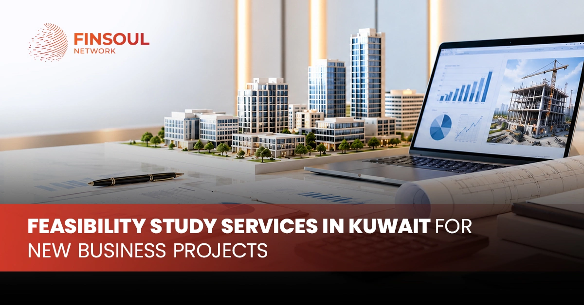 Feasibility Study Services