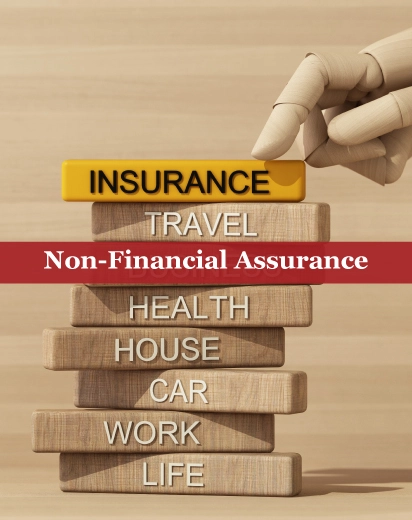 non-financial assurance services in oman by finsoul network