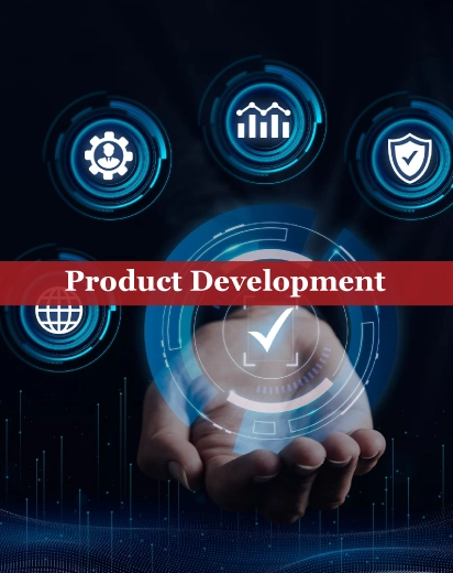 product development services in oman by finsoul network