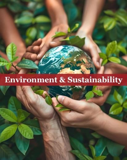 Environment and Sustainability Services in Qatar