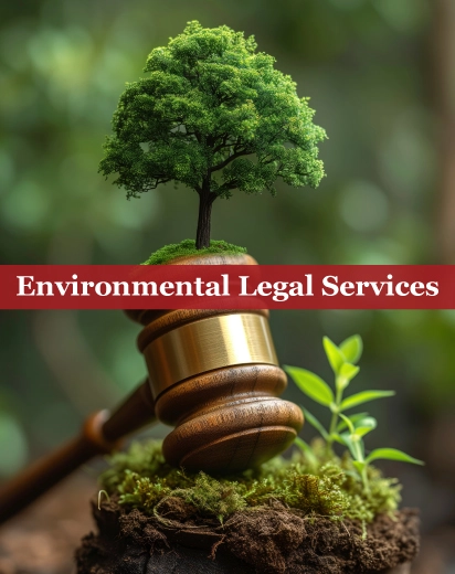 Environmental Legal Services in Qatar