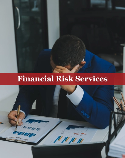 Financial Risk Management Services in Qatar