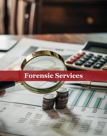 Forensic Services in Qatar