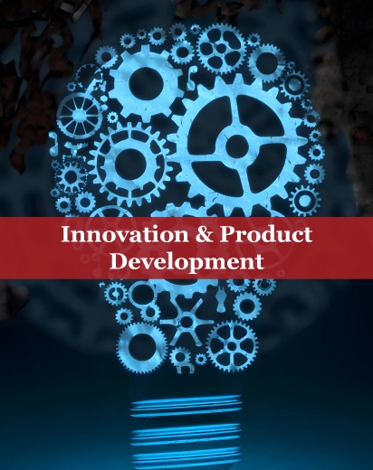 Innovation and Product Development Services