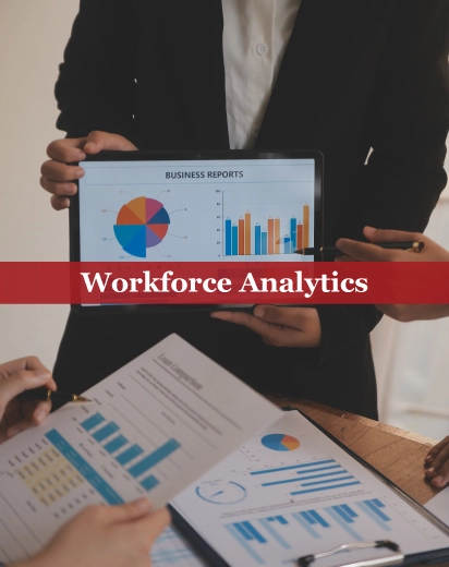 Workforce Analytics Services in Qatar