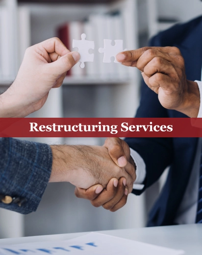 Restructuring Services in UAE | Finsoul Network