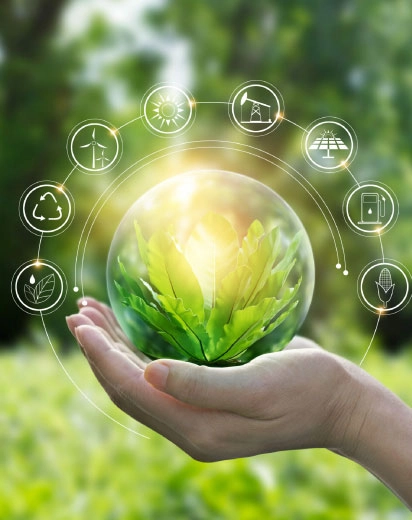 Environmental Sustainability Services in UAE