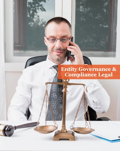 Entity Governance and Compliance Legal Services