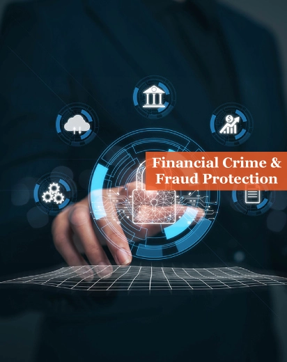 Financial Crime and Fraud Protection Services
