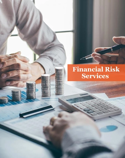 Financial Risk Services in UK