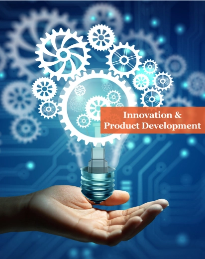 Innovation and Product Development Services