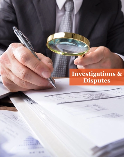 Investigations and Disputes Services in UK