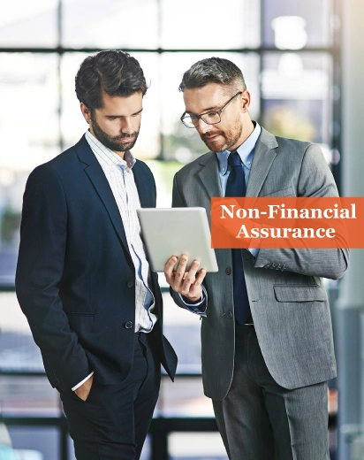 Non-Financial Assurance Services in UK