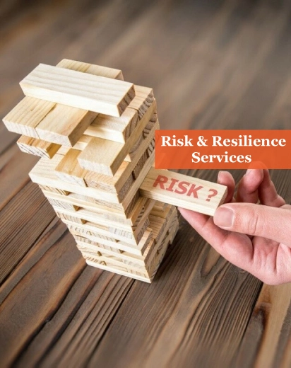 Risk and Resilience Services in UK