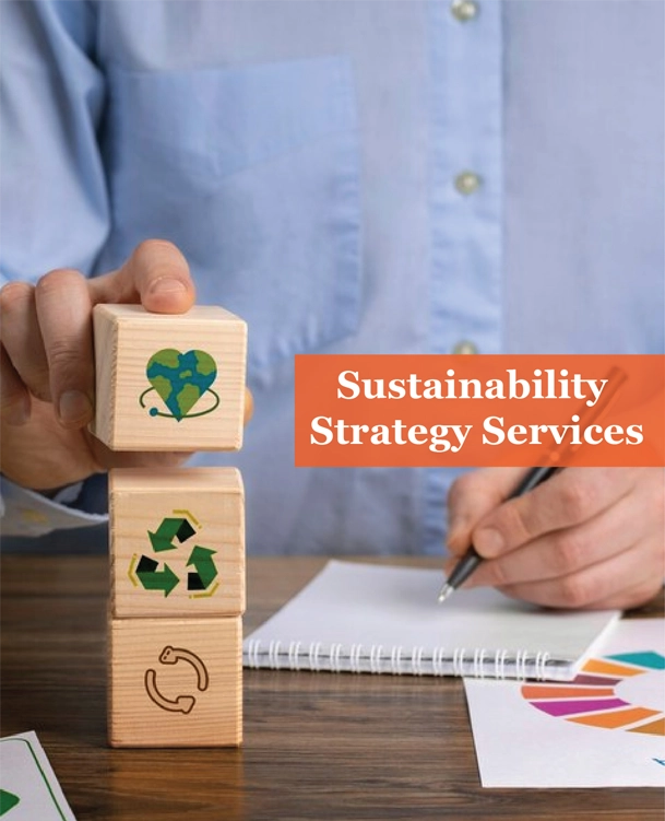 Sustainability Strategy Services in UK