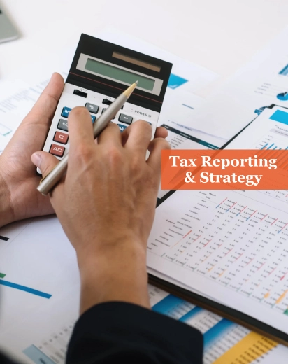 Tax Reporting and Strategy Services in UK