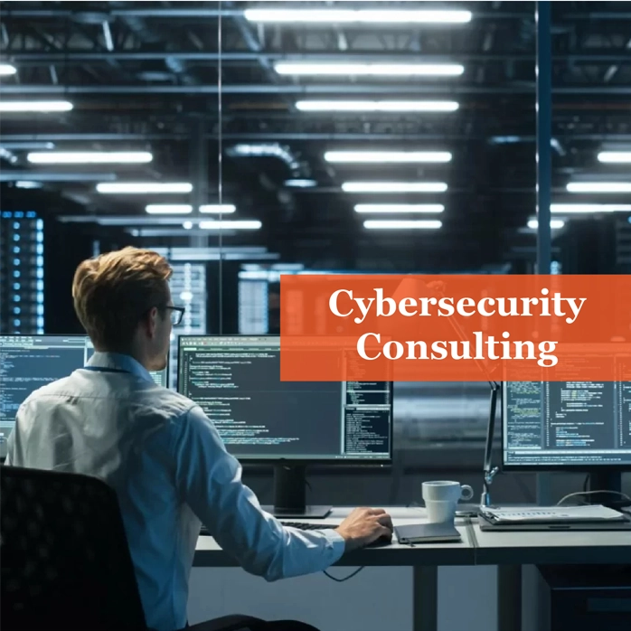 Cybersecurity Consulting