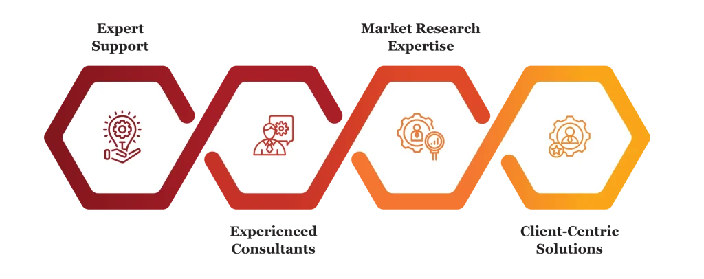 auditing services by finsoul network