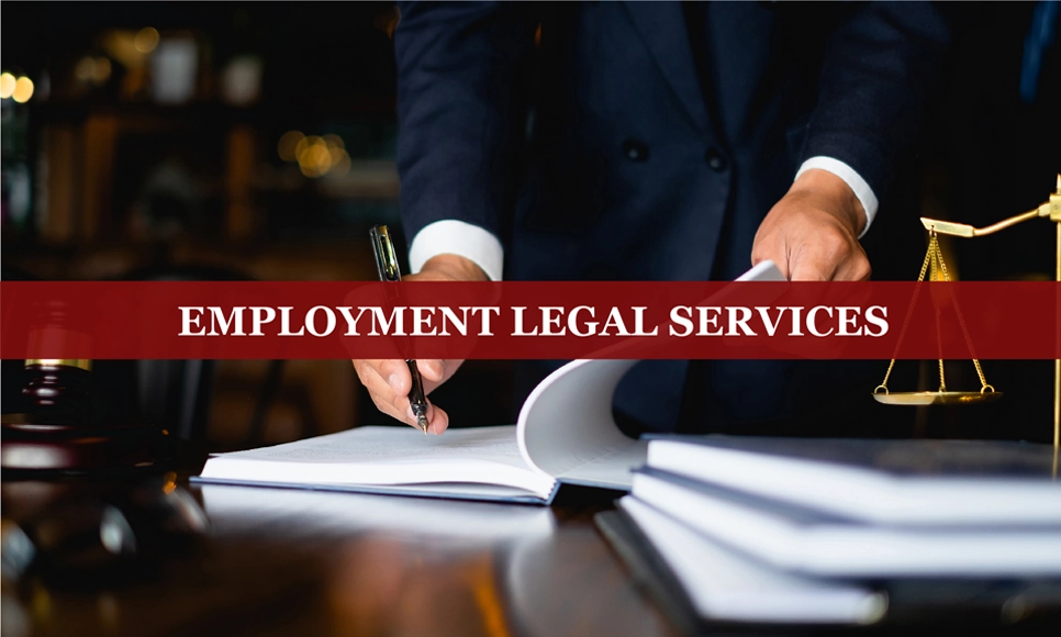 employment legal services by finsoul network