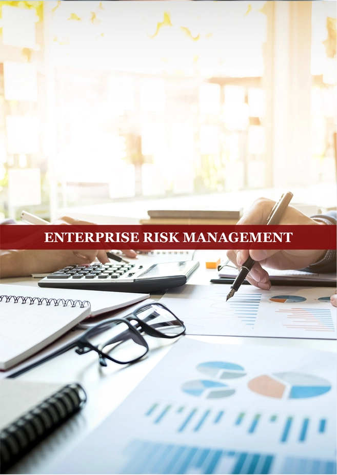 enterprise risk management services by finsoul network
