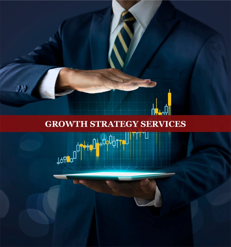 growth strategy services by finsoul network