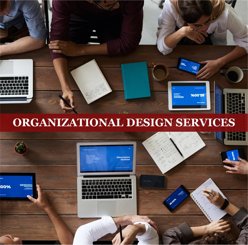 organizational design services