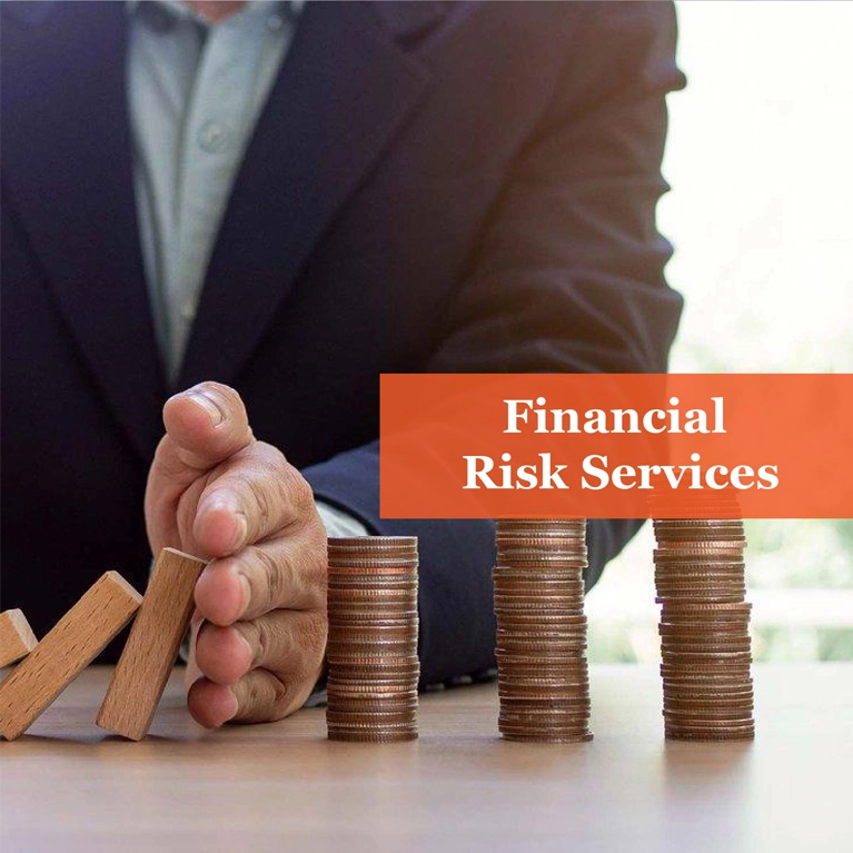 Financial Risk Services