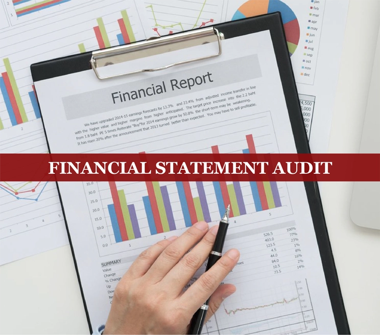 financial statement audit services by finsoul network