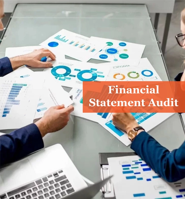 Financial Statement Audit