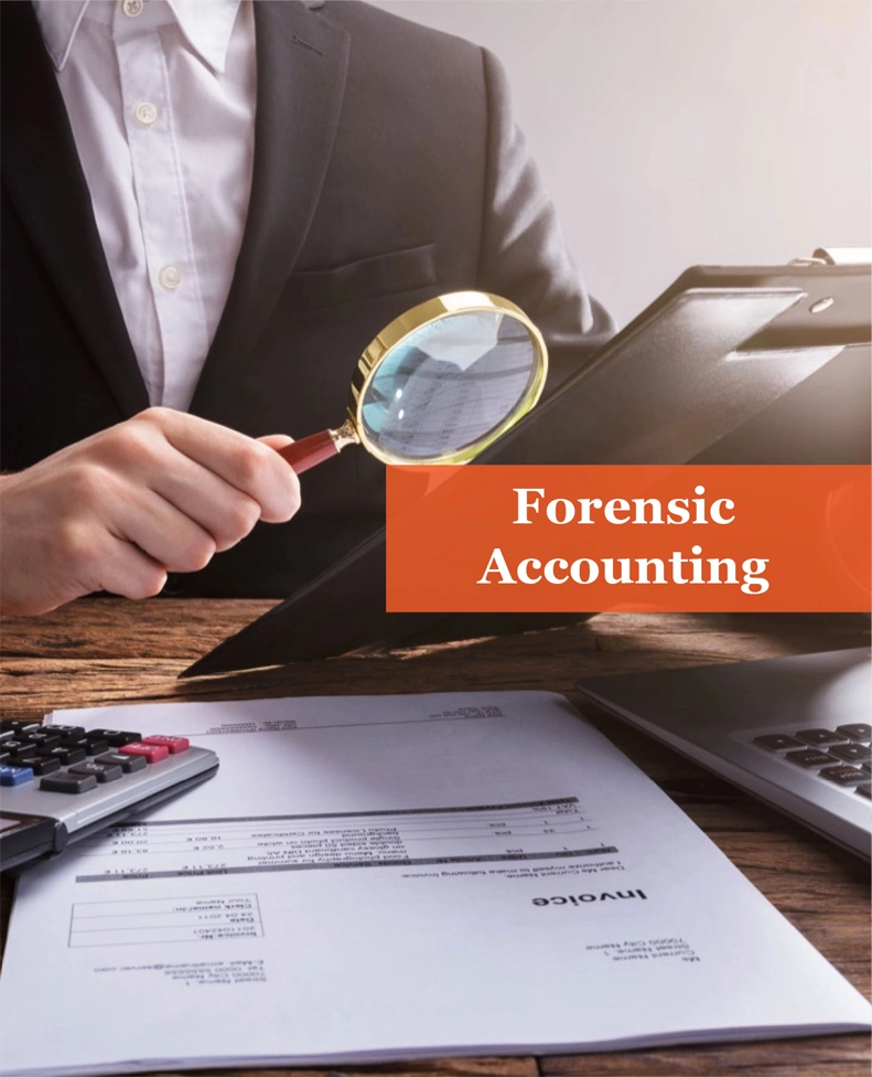 forensic accounting services by finsoul network