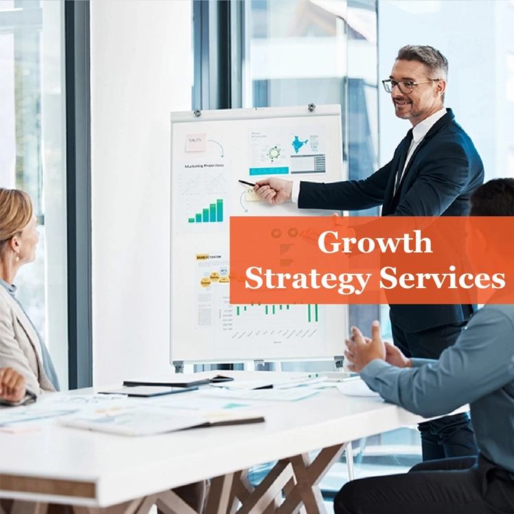 growth strategy