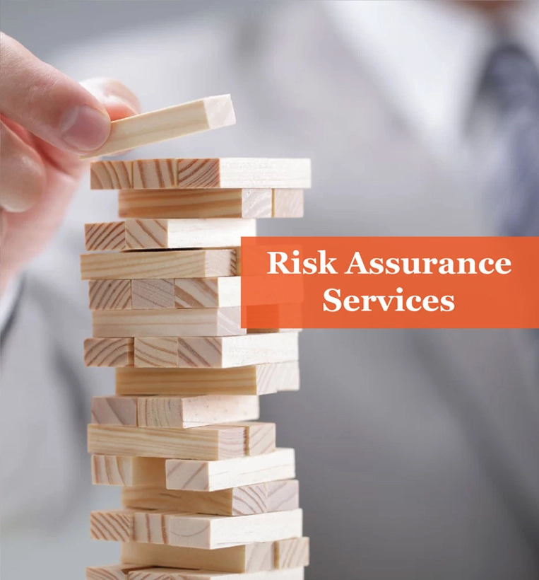 Expert Risk Assurance Services - Finsoul Network